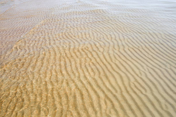 istock Sand texture created by sea waves on beach coast. 1155053931