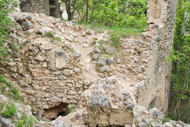 istock old walls from a castle ruin with trees 1155054107