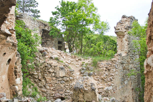 istock old walls from a castle ruin with trees 1155054116