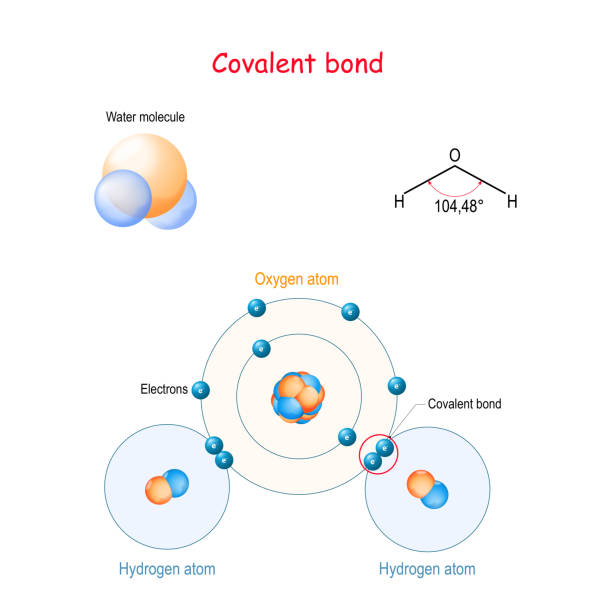 kovalente bindung zum beispiel wassermolekül (h2o) - ionic stock-grafiken, -clipart, -cartoons und -symbole