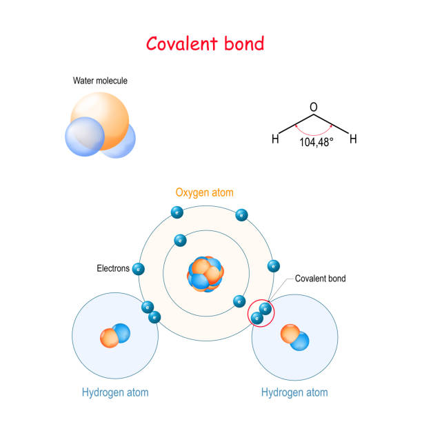 Covalent bond for example water molecule (H2O) Covalent bond for example water molecule (H2O). is a molecular (chemical) bond that involves the sharing of electron pairs between atoms. Structural formula, balls and sticks model, hydrogen bonding. Vector diagram for your design, educational, science and medical use ionic stock illustrations