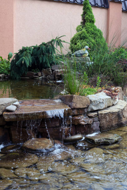 istock Clear water flows over the stones in the yard. 1155055140