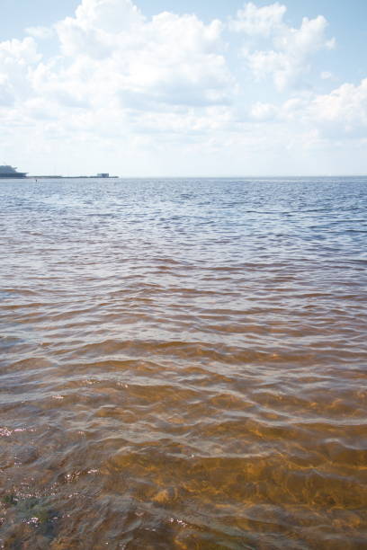 istock coastline with sand and stones washed by the waves 1155056880