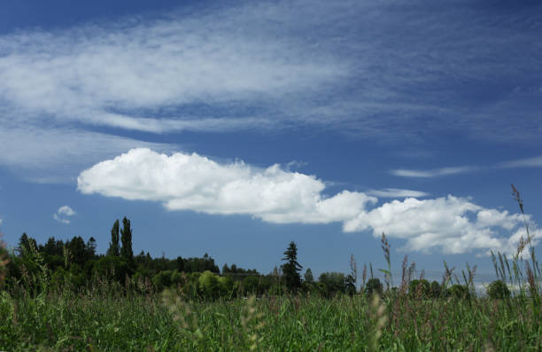 istock Clouds over the Flood Plain in Canada 1155057383
