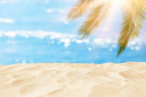 istock Empty sand beach in front of summer sea and palm tree background with copy space 1155058244