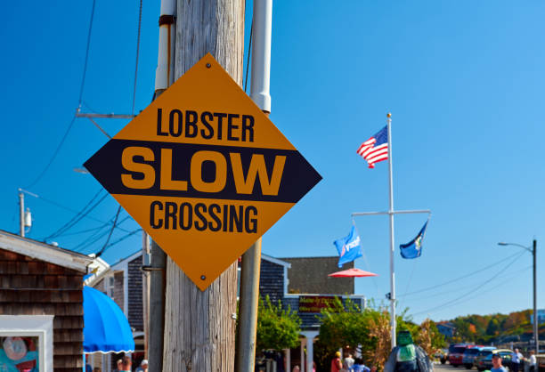 istock Lobster Crossing Slow fun sign 1155058897