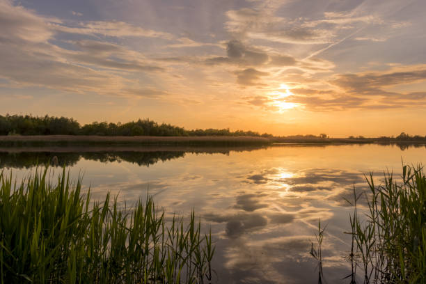 istock Sunset above the pond or lake with cloudy sky at summer and water reflection. 1155059310