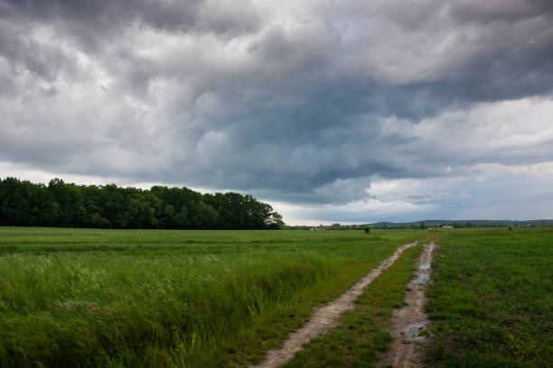 istock Dirt road through a green field, forest and storm clouds 1155061174