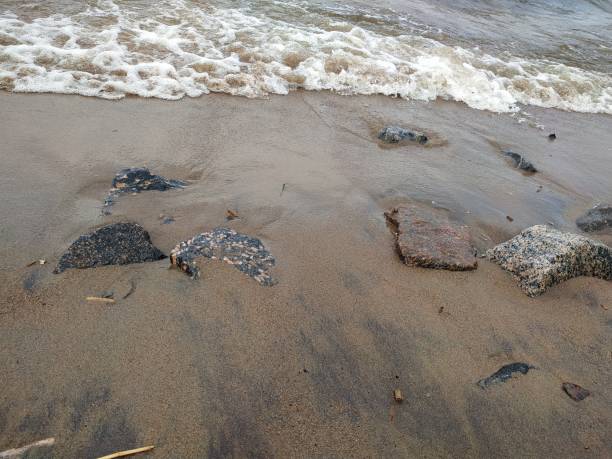 istock coastal granite stones washed by the waves 1155061312
