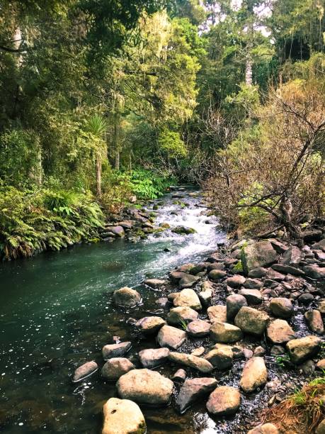 istock Wonderful river with rocks and trees 1155064500