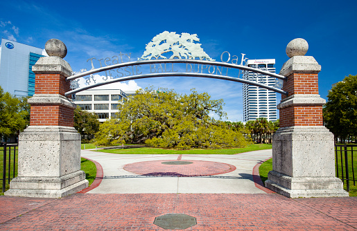 Jacksonville, Florida, USA - March 10, 2019:  The Treaty Oak at Jessie Ball Dupont Park in downtown Jacksonville, Florida on a sunny day.