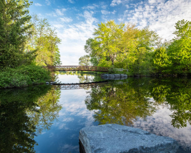 istock Beavermead park bridge and reflection on Otonabee river 1155072322