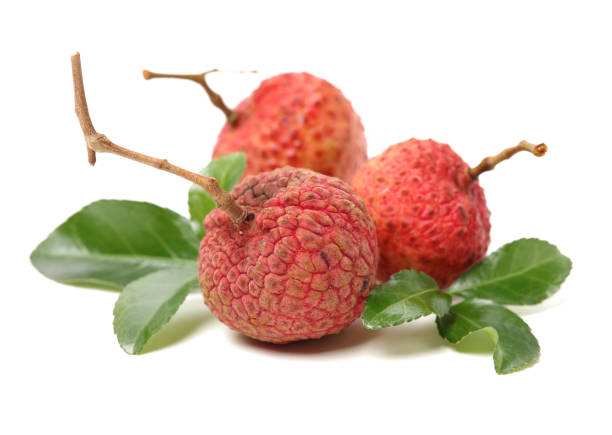 istock Lychee fruit. Fresh lychees fruit in isolated on white background 1155073269