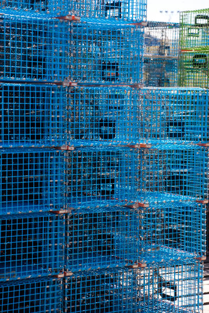 istock Stack of colorful lobster traps on the pier 1155073690