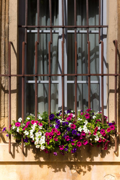 istock Provence, France: Red and White Petunias in Window Box 1155076378