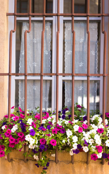 istock Provence, France: Red and White Petunias in Window Box 1155076490