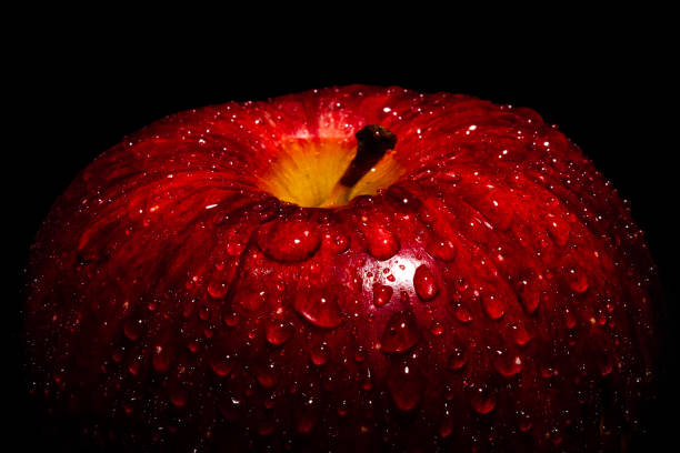 a frame filling macro image of a vibrant red apple covered in water drops beading on the peel.  this is a high contrast image with a strong highlight on the front of the fruit.  featuring  1/3 frame of negative space in black above the apple for copy writ - 5105 imagens e fotografias de stock