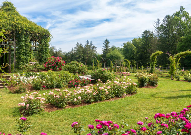 Elizabeth Park rose garden and gazebo stock photo