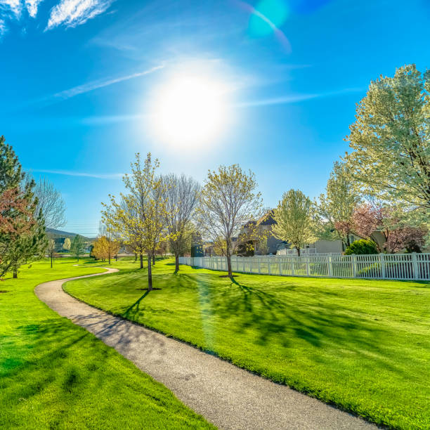 istock Square frame Pathway curving on a grassy terrain under the blazing sun and blue sky 1155078760