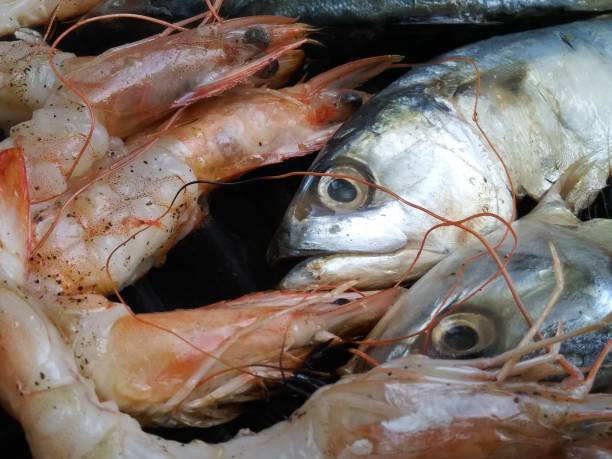 istock Prawns and Mackerel fish on hot grilled - Barbeque 1155080706