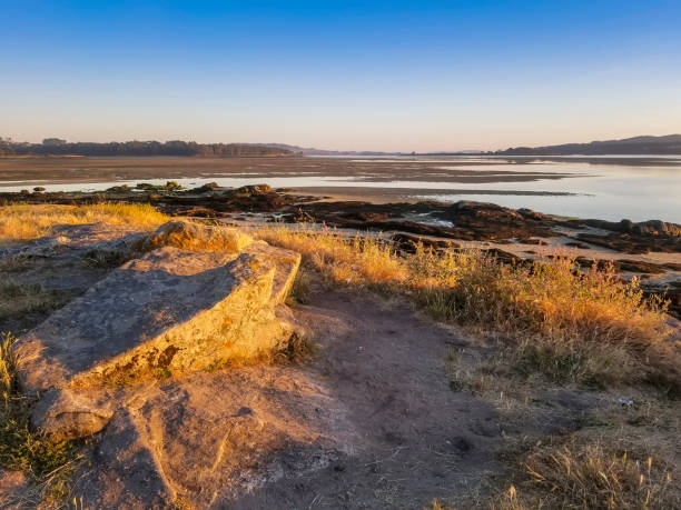 istock Intertidal complex of the natura 2000 network 1155083938
