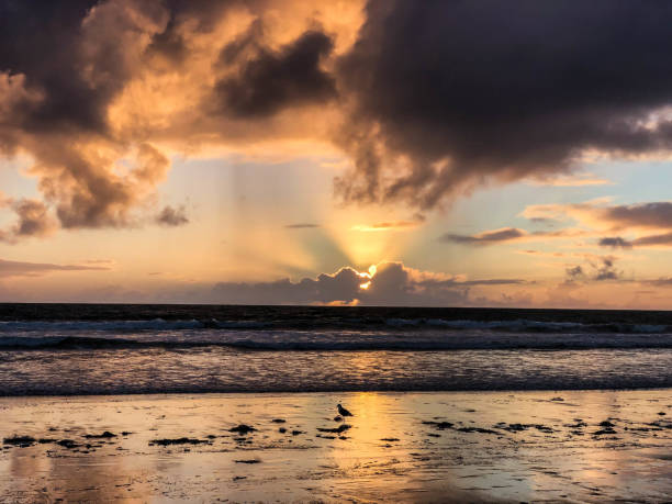 istock Winter sunset in Venice, CA with stormy clouds 1155085981
