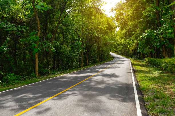 istock Asphalt road curve pass through the green forest tree with sunlight 1155086066