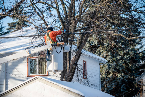 Electrician poles