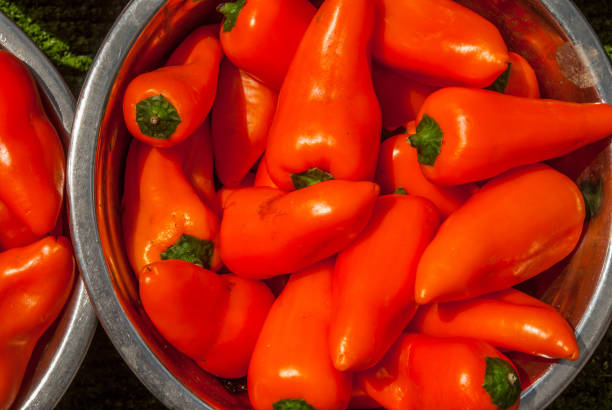 Orange Marconi Pepper at market place. Orange Marconi Pepper background.