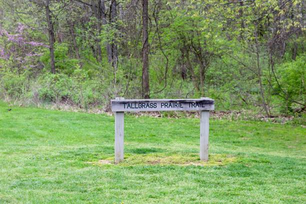 istock Old Wood Post Trail Sign 1155092767