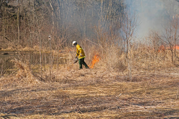 utilisation de la torche d’égouttement pour commencer une brûlure contrôlée - schaumburg photos et images de collection