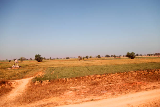 istock Nature landscape with clear sky 1155096059