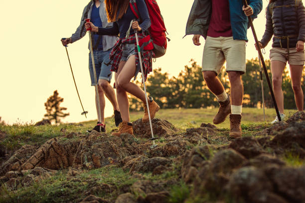 istock Perfect way to spend weekend with friends 1155096975