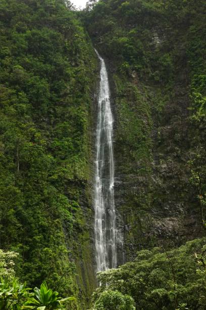 istock Waterfall in Maui Hawaii 1155097207
