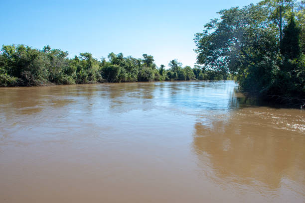 istock Golden River in Mato Grosso do Sul 1155097508