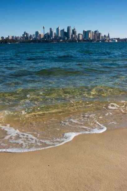 vista del cbd de sydney desde el zoológico de taronga - taronga fotografías e imágenes de stock