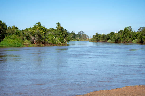 istock Golden River in Mato Grosso do Sul 1155099631