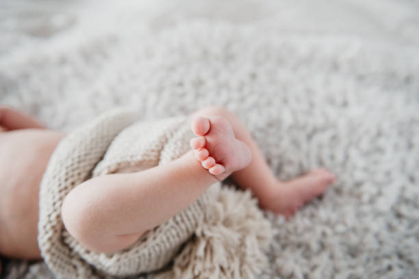 istock Closeup  newborn baby feet on fluffy blanket. Copy space 1155101952