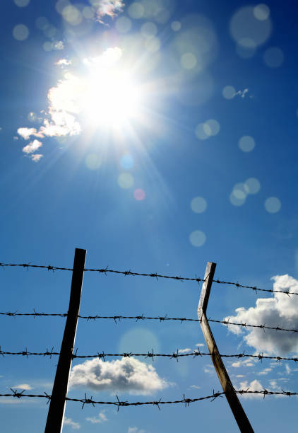 istock close up barbed wire fence over sky 1155104082