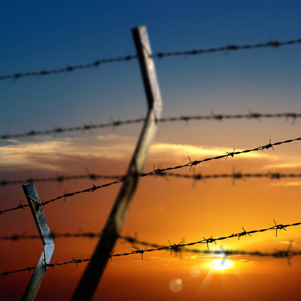 istock close up barbed wire fence over sky 1155104164