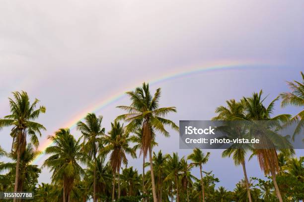 Rainbow Spectral Colors Phenomenon After Rain And Sunshine In A ...