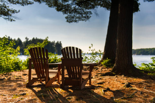 istock Adirondack under trees near water 1155107799