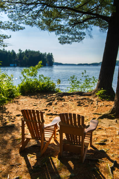 istock Adirondack under trees near water 1155107839