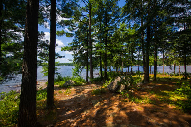 istock Lake view from a cottage in Muskoka 1155107874