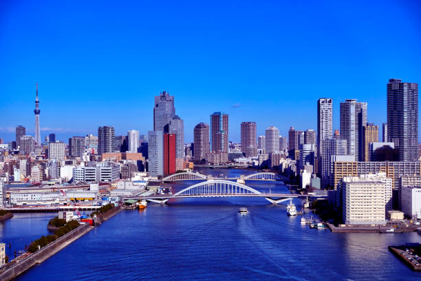 istock Capital of Japan 1155108524