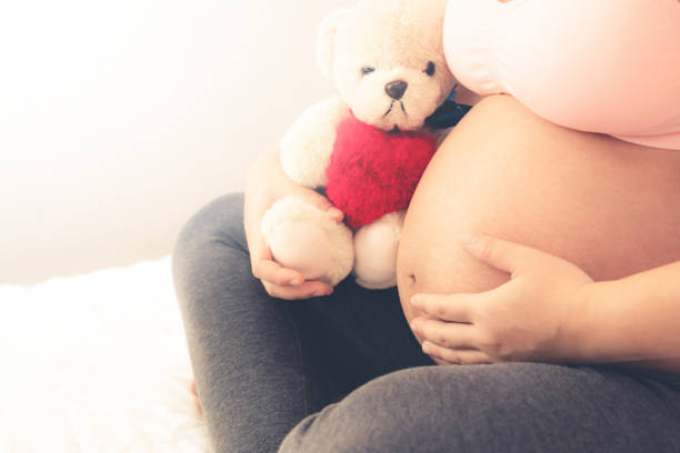 Happy pregnant woman and expecting baby at home. Pregnant woman feeling happy at home while taking care of her child. The young expecting mother holding baby in pregnant belly. Maternity prenatal care and woman pregnancy concept. bear stomach stock pictures, royalty-free photos & images
