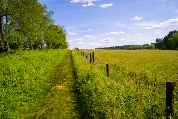 une image expansible d’un sentier traversant un champ vert avec une petite barrière et un ciel bleu - perfect day photos et images de collection