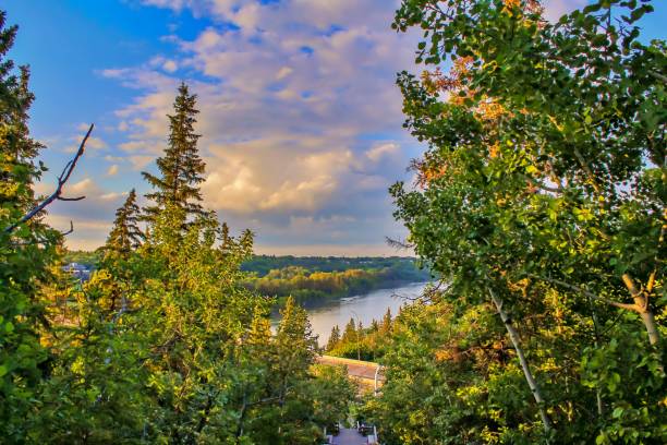 istock Staircase To Nature 1155121286