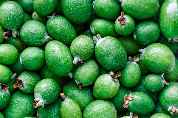 many feijoa food background many feijoa food background pineapple guava stock pictures, royalty-free photos & images