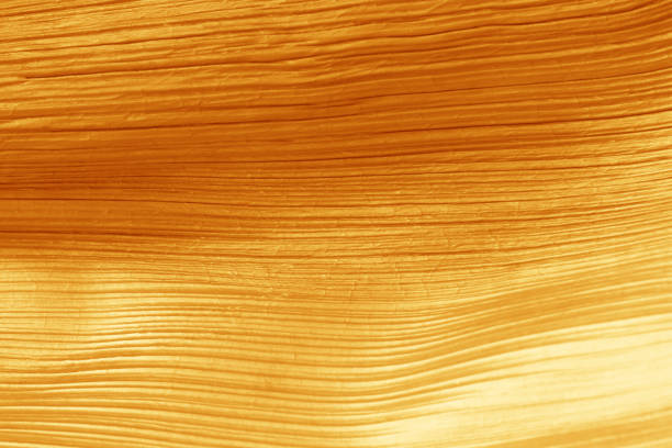 istock Surface of leaf gold color for textured background. 1155127113